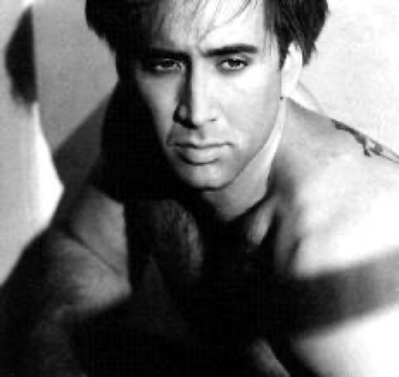 Bolly - Holly gone bolly - nicholas cage