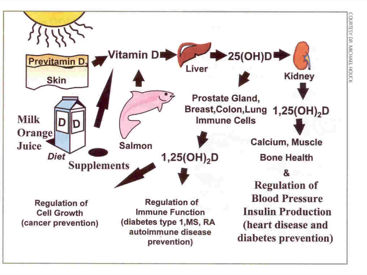 Vitamin D 4