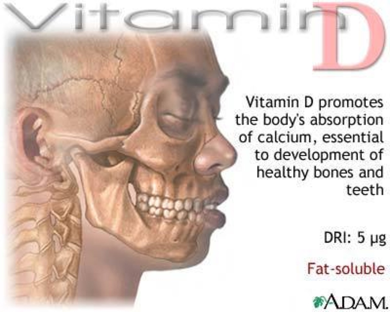 Vitamin D 5