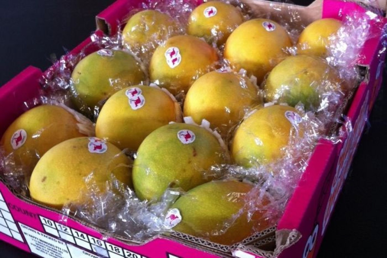 Mango Tray