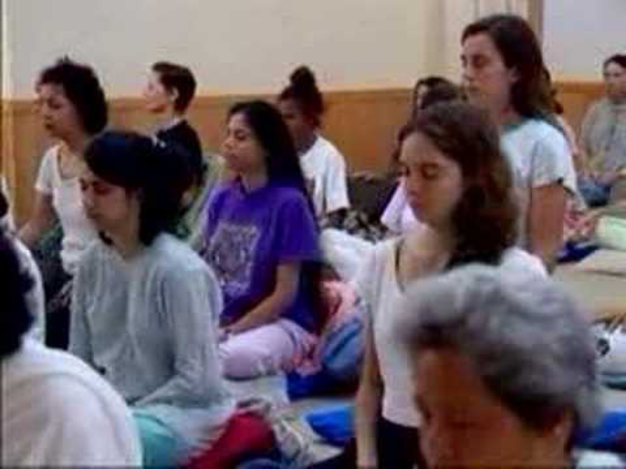 Vipassana 1